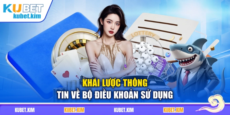 Khái lược thông tin về bộ điều khoản sử dụng